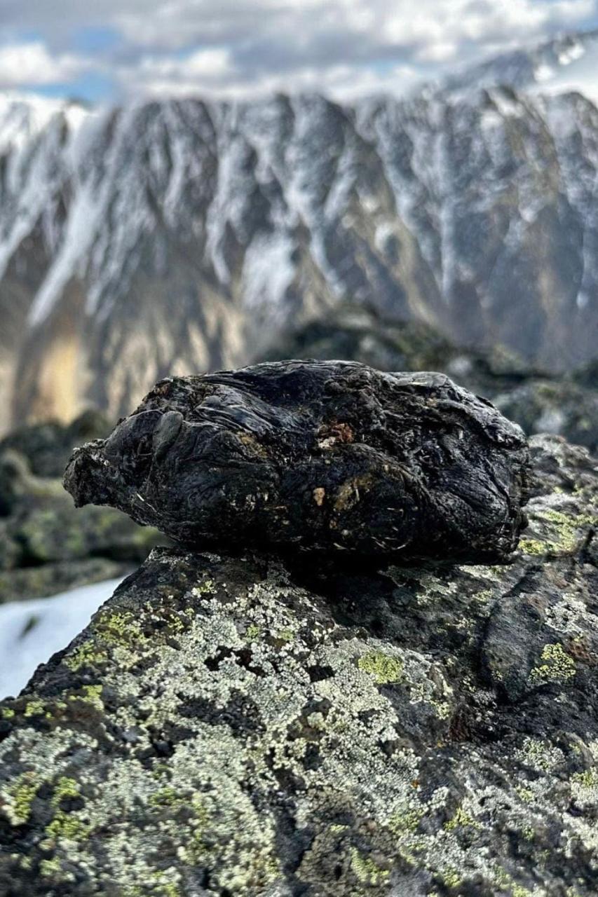 What is Shilajit? The Science, the History, and Why It Works