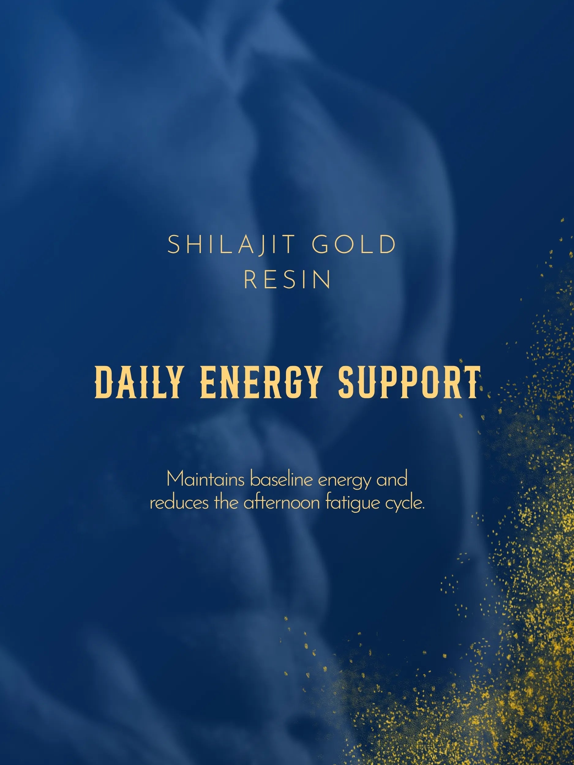 Blueberry Shilajit Gummy