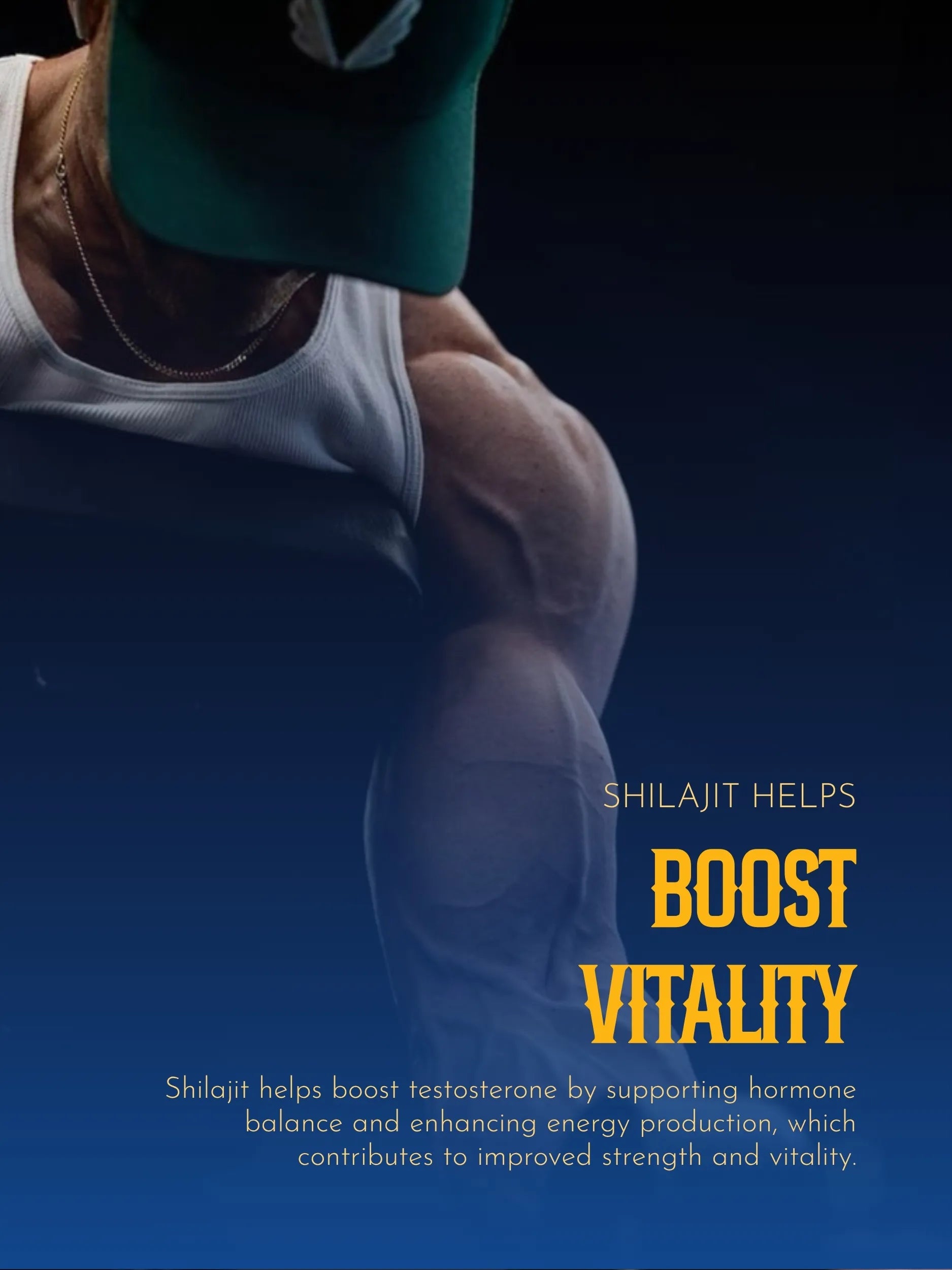 Blueberry Shilajit Gummy