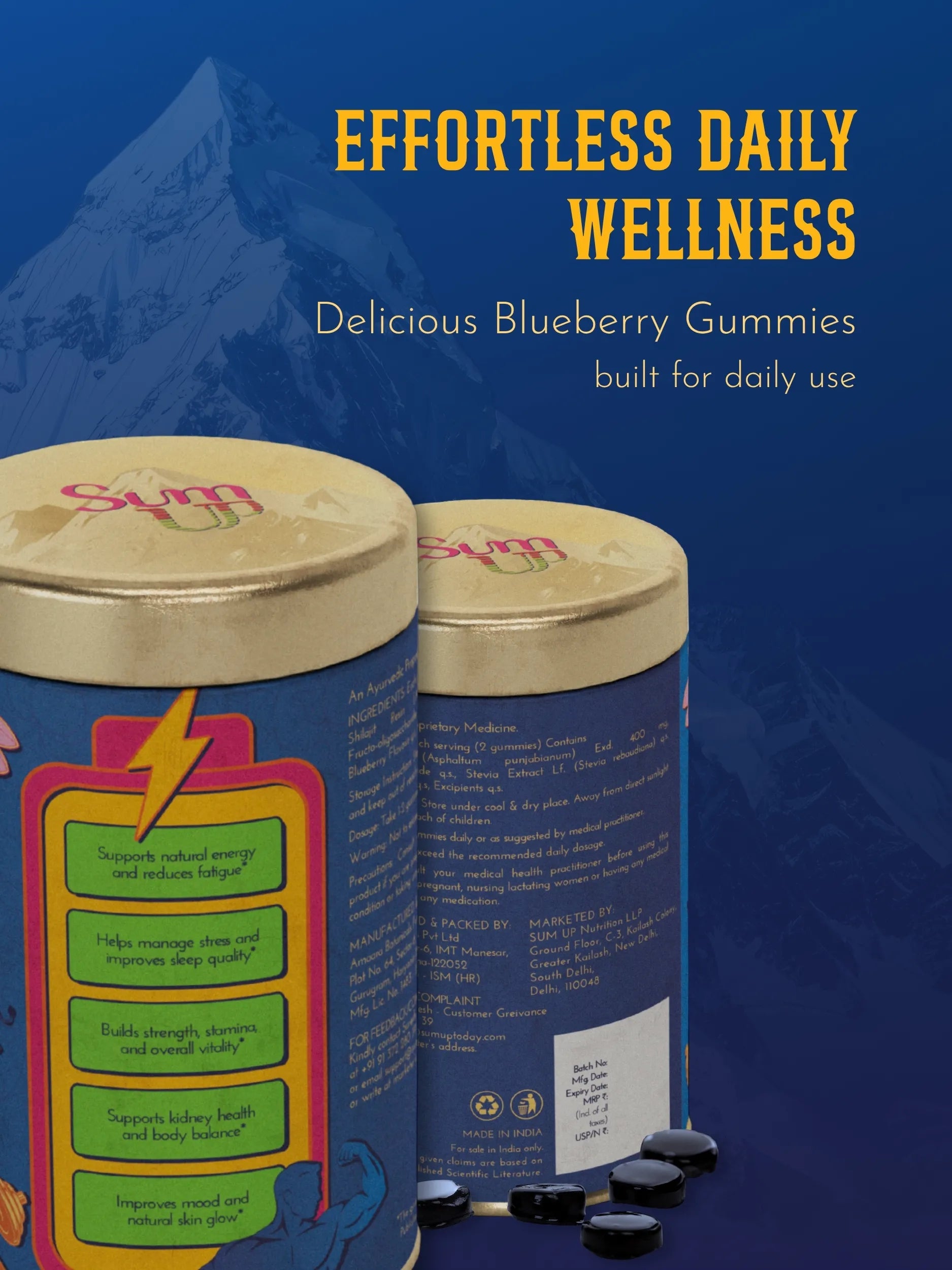 Blueberry Shilajit Gummy